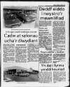 Herald Cymraeg Saturday 03 February 1990 Page 17