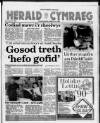 Herald Cymraeg Saturday 10 March 1990 Page 1