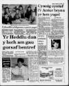 Herald Cymraeg Saturday 23 June 1990 Page 3