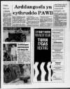 Herald Cymraeg Saturday 23 June 1990 Page 17