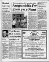 Herald Cymraeg Saturday 30 June 1990 Page 17