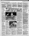 Herald Cymraeg Saturday 21 July 1990 Page 63