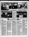 Herald Cymraeg Saturday 17 November 1990 Page 19