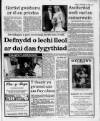 Herald Cymraeg Saturday 24 November 1990 Page 3