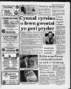 Herald Cymraeg Saturday 24 November 1990 Page 19