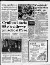 Herald Cymraeg Saturday 15 December 1990 Page 3