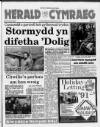 Herald Cymraeg Saturday 29 December 1990 Page 1