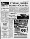 Herald Cymraeg Saturday 19 January 1991 Page 13