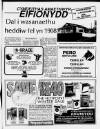 Herald Cymraeg Saturday 02 February 1991 Page 45