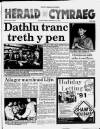 Herald Cymraeg Saturday 23 March 1991 Page 1