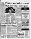 Herald Cymraeg Saturday 27 July 1991 Page 3