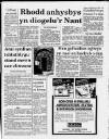 Herald Cymraeg Saturday 27 July 1991 Page 5