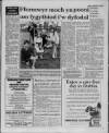 Herald Cymraeg Saturday 26 June 1993 Page 3