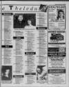 Herald Cymraeg Saturday 26 June 1993 Page 43
