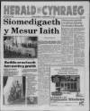 Herald Cymraeg Saturday 17 July 1993 Page 1