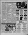 Herald Cymraeg Saturday 28 August 1993 Page 39
