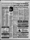 Herald Cymraeg Saturday 08 January 1994 Page 5