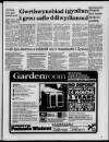 Herald Cymraeg Saturday 08 January 1994 Page 7