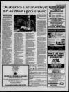 Herald Cymraeg Saturday 08 January 1994 Page 13