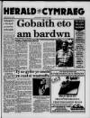 Herald Cymraeg Saturday 15 January 1994 Page 1