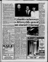 Herald Cymraeg Saturday 15 January 1994 Page 5