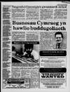 Herald Cymraeg Saturday 29 January 1994 Page 3