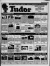 Herald Cymraeg Saturday 29 January 1994 Page 25