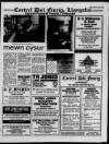 Herald Cymraeg Saturday 09 April 1994 Page 19