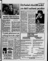 Herald Cymraeg Saturday 16 April 1994 Page 5