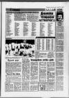 Ruislip & Northwood Gazette Wednesday 30 March 1988 Page 29