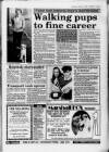 Ruislip & Northwood Gazette Wednesday 01 February 1989 Page 13