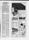 Ruislip & Northwood Gazette Wednesday 24 March 1993 Page 19