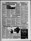 Ruislip & Northwood Gazette Wednesday 19 January 1994 Page 17