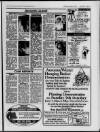 Ruislip & Northwood Gazette Wednesday 05 October 1994 Page 17