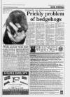 Ruislip & Northwood Gazette Wednesday 05 June 1996 Page 11