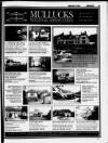 Dunmow Observer Thursday 01 September 1994 Page 53