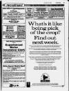 Dunmow Observer Thursday 10 November 1994 Page 49