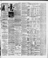 Crediton Gazette Saturday 02 June 1883 Page 3