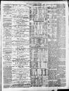 Crediton Gazette Saturday 08 June 1889 Page 3