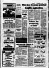 Hoddesdon and Broxbourne Mercury Friday 23 September 1983 Page 17