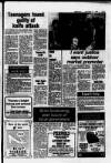Hoddesdon and Broxbourne Mercury Friday 14 October 1983 Page 3