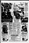 Hoddesdon and Broxbourne Mercury Friday 27 January 1984 Page 17