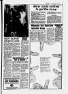 Hoddesdon and Broxbourne Mercury Friday 10 February 1984 Page 21