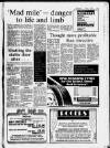 Hoddesdon and Broxbourne Mercury Friday 04 May 1984 Page 5