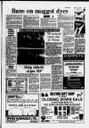 Hoddesdon and Broxbourne Mercury Friday 15 June 1984 Page 27