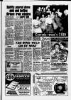 Hoddesdon and Broxbourne Mercury Friday 22 June 1984 Page 17