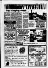 Hoddesdon and Broxbourne Mercury Friday 22 June 1984 Page 19