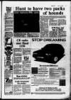 Hoddesdon and Broxbourne Mercury Friday 06 July 1984 Page 17