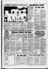 Hoddesdon and Broxbourne Mercury Friday 20 July 1984 Page 85