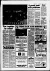 Hoddesdon and Broxbourne Mercury Friday 03 August 1984 Page 13